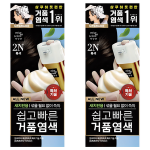 미쟝센 올 뉴 쉽고 빠른 거품 염색제, 2N흑색, 2개