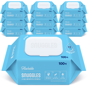 스너글스 물에 풀어지는 비데티슈 피부 저자극 인증, 100매, 55g, 10팩