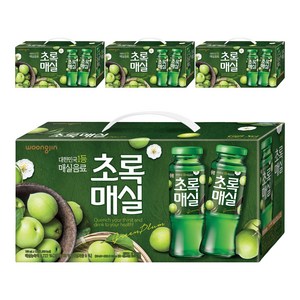 웅진 초록매실 음료선물세트, 180ml, 48개