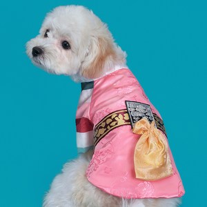 도그아이 반려동물 남아 선경단한복, 연지핑크, 2XL, 1개