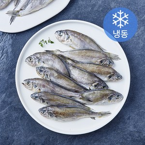 대용량 영광굴비 (냉동), 1kg, 1개