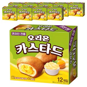 오리온 카스타드, 288g, 10개