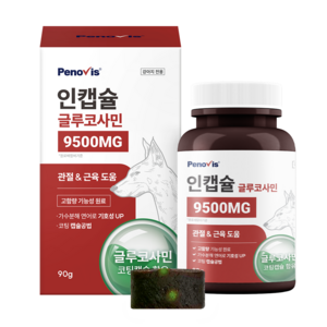 페노비스 강아지 인캡슐 글루코사민 영양제, 90g, 뼈/관절강화, 1개