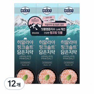 히말라야핑크솔트 담은 치약 아이스 카밍 민트, 100g, 12개
