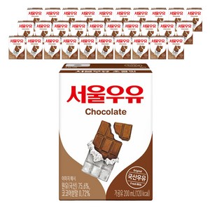 서울우유 초코 우유, 200ml, 48개