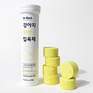 닥터블랭크 반려동물 탄산 입욕제, 60g, 1개