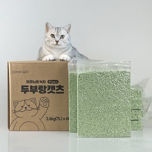 두부랑캣츠 이코노미 플러스 고양이 모래 무라벨, 2.6kg, 녹차, 6개