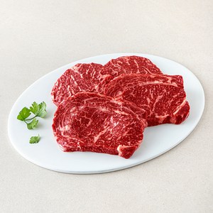 농협안심한우 1등급 숙성등심 구이용 (냉장), 600g, 1개