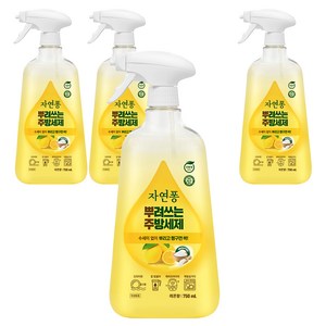 자연퐁 뿌려쓰는 주방세제 본품 레몬향, 4개, 750ml