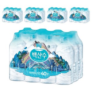 백산수 생수 무라벨, 1L, 60개