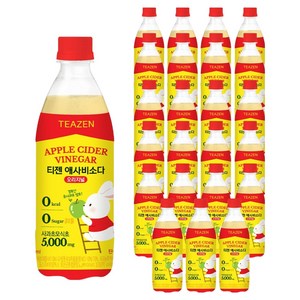 티젠 애사비소다 오리지널, 500ml, 24개