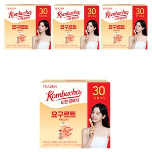 티젠 콤부차 요구르트