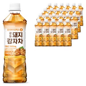 광동제약 돼지감자차, 500ml, 24개