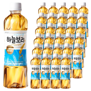 하늘보리, 500ml, 48개