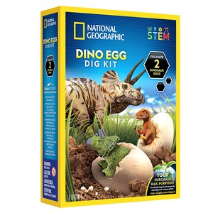내셔널지오그래픽 화석발굴 공룡알 대 회색 RTNGDEGGDIG