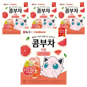 담터 포켓몬 콤부차 자몽