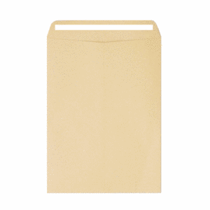 접착형 테이프 서류봉투 245 x 330 mm, A4, 100개