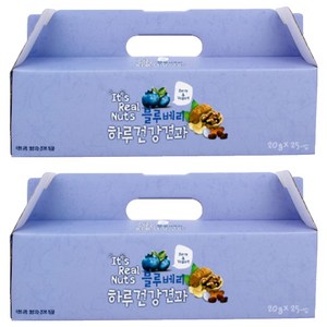 잇츠리얼넛츠 블루베리 요거트 믹스넛, 500g, 2개