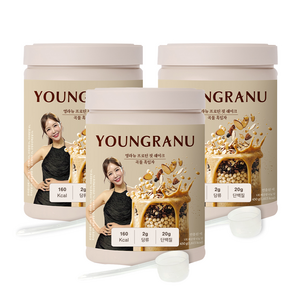 영라뉴 대용량 프로틴 핏 쉐이크 곡물흑임자맛, 450g, 3개