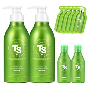 TS 뉴프리미엄 탈모증상완화 샴푸 500g x 2P + 100g x 2P + 6g x 5P 세트, 1개