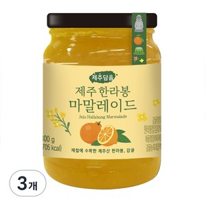 오뚜기 제주담음 한라봉 마말레이드 잼, 300g, 3개
