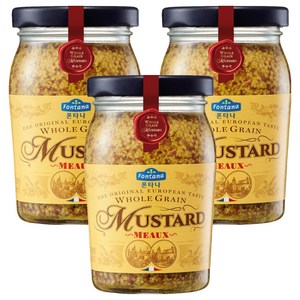 폰타나 홀그레인 머스타드, 200g, 3개