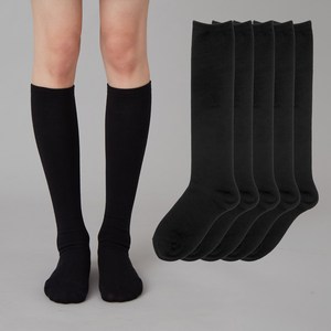 베이스알파에센셜 여성용 베이직 니삭스 5켤레