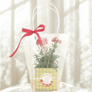 비에프에이 프레시가든 생화 카네이션 + 쇼핑백 + 화분 세트, 투명(쇼핑백), 1세트