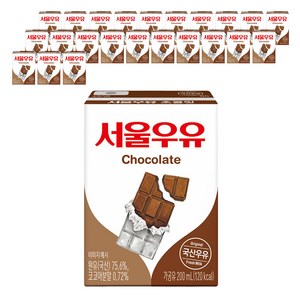 서울우유 초코 우유, 200ml, 24개