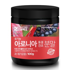 조은약초 아로니아 동결건조 분말, 1개, 100g