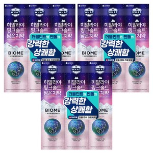 히말라야핑크솔트 담은 바이옴 잇몸 구취전문 치약, 100g, 9개