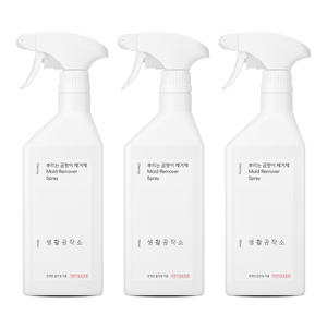 생활공작소 뿌리는 곰팡이 제거제, 750ml, 3개