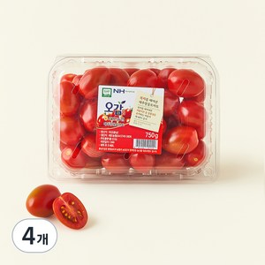 충남오감 세도농협 GAP 인증 대추방울토마토, 750g, 4박스