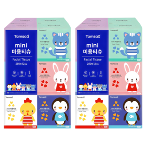 탐사 미니 미용티슈 250매, 250매입, 24개