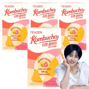 티젠 콤부차 망고구아바