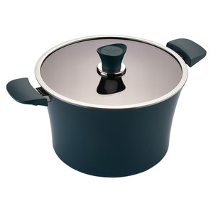 해피콜 인덕션 이든 곰솥냄비, 28cm, 스투키 그린, 1개