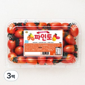 파인토 스테비아 대추방울토마토, 1kg, 3팩