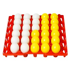 시작 계란판 빙고 탁구공 게임세트