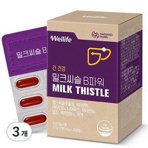 대상웰라이프 밀크씨슬 B파워 21g, 30정, 3개
