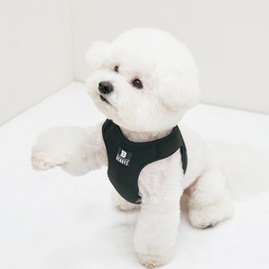베니즈 베이직 하네스