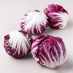 국내산 라디치오