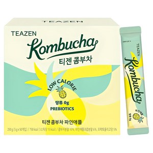 티젠 콤부차 파인애플