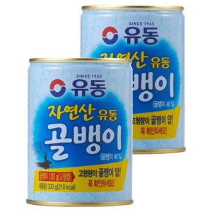 유동 자연산 골뱅이 통조림, 300g, 2개