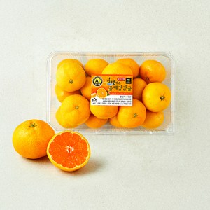 올레길 AI 당도선별 11brix 감귤, 1.5kg(로열과), 1개