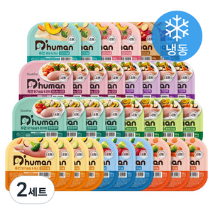 듀먼 전연령 강아지 10종 버라이어티 화식사료 50g x 32개입 세트 (냉동), 2세트