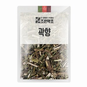 조은약초 곽향, 100g, 1개