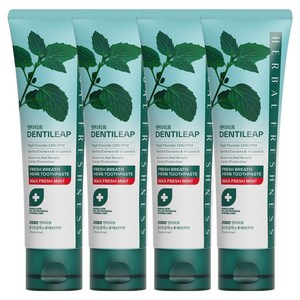 2080 덴티리프 일사오공맥스 후레쉬치약, 120g, 4개