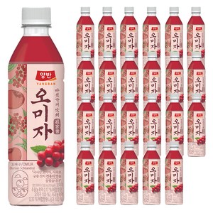 양반 오미자 음료, 500ml, 24개