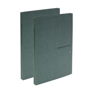 드림산업 쎄비엥 더블레버 A4, 초록색, 2개