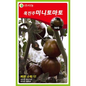 다농 흑진주미니토마토씨앗, 1개, 50입